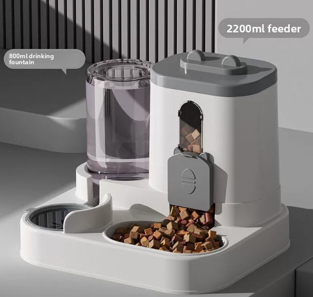Petlivo Automatic Pet Feeder dispensing dry kibble into stainless steel bowl