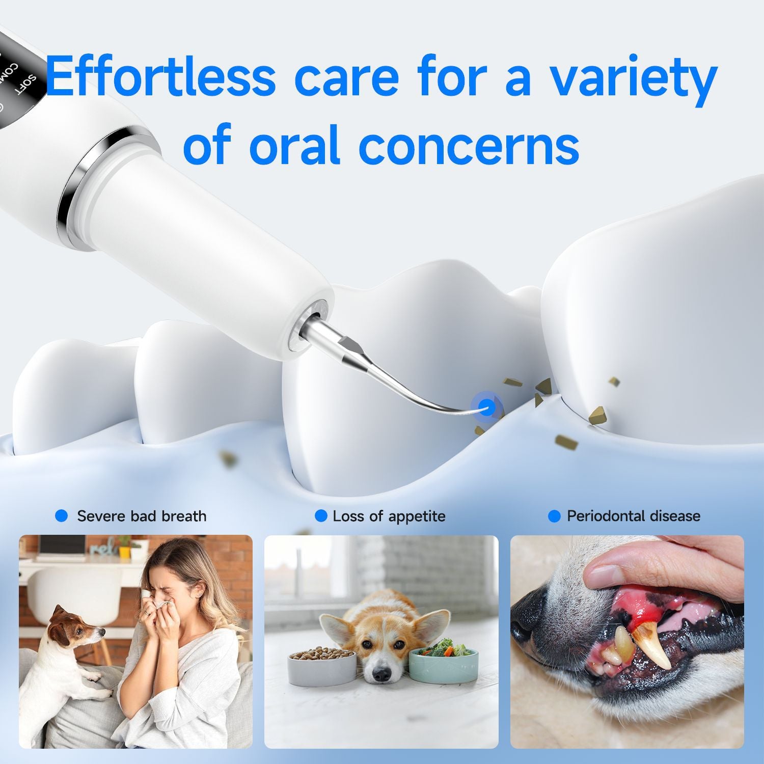Petlivo Ultrasonic Tooth Cleaner three vibration mode controls detail