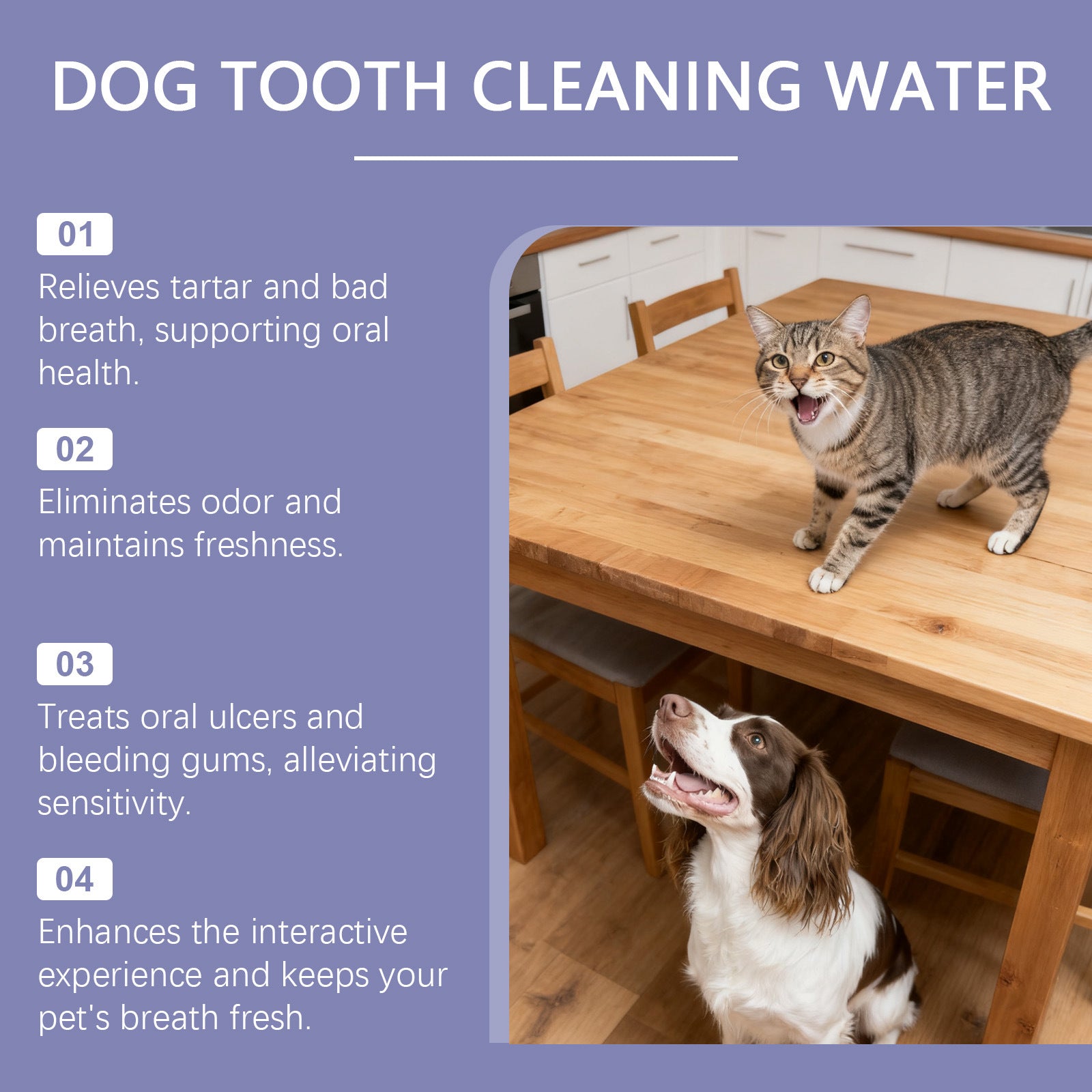 How to use Petlivo Dental Care Water by mixing into pet drinking bowl daily for dogs and cats