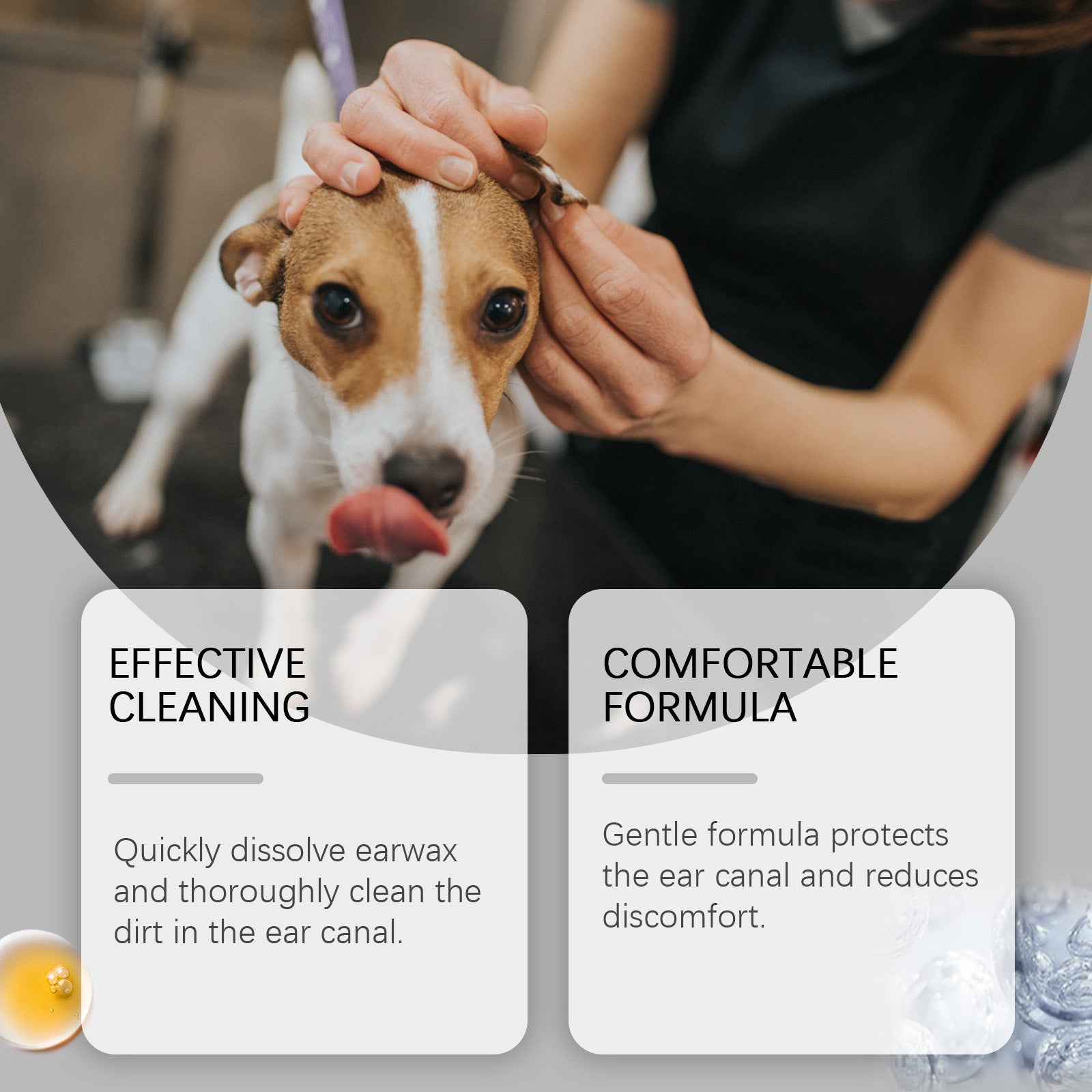Petlivo Pet Ear Care Solution dropper detail for precise application into pet ear canal
