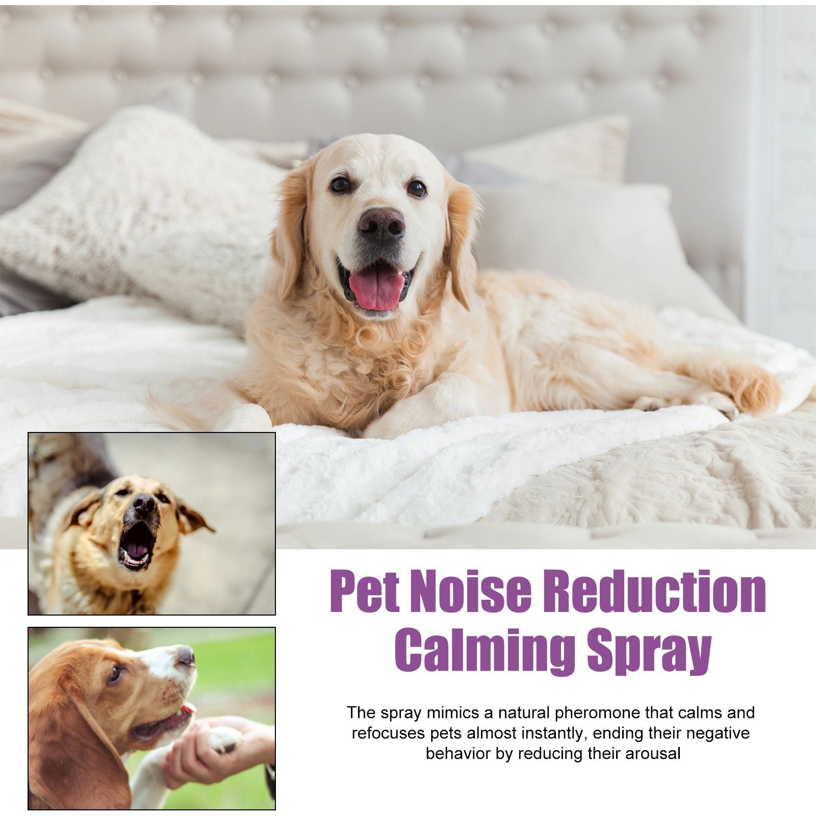 Petlivo Calming Spray pump nozzle detail for even mist on crate and carrier