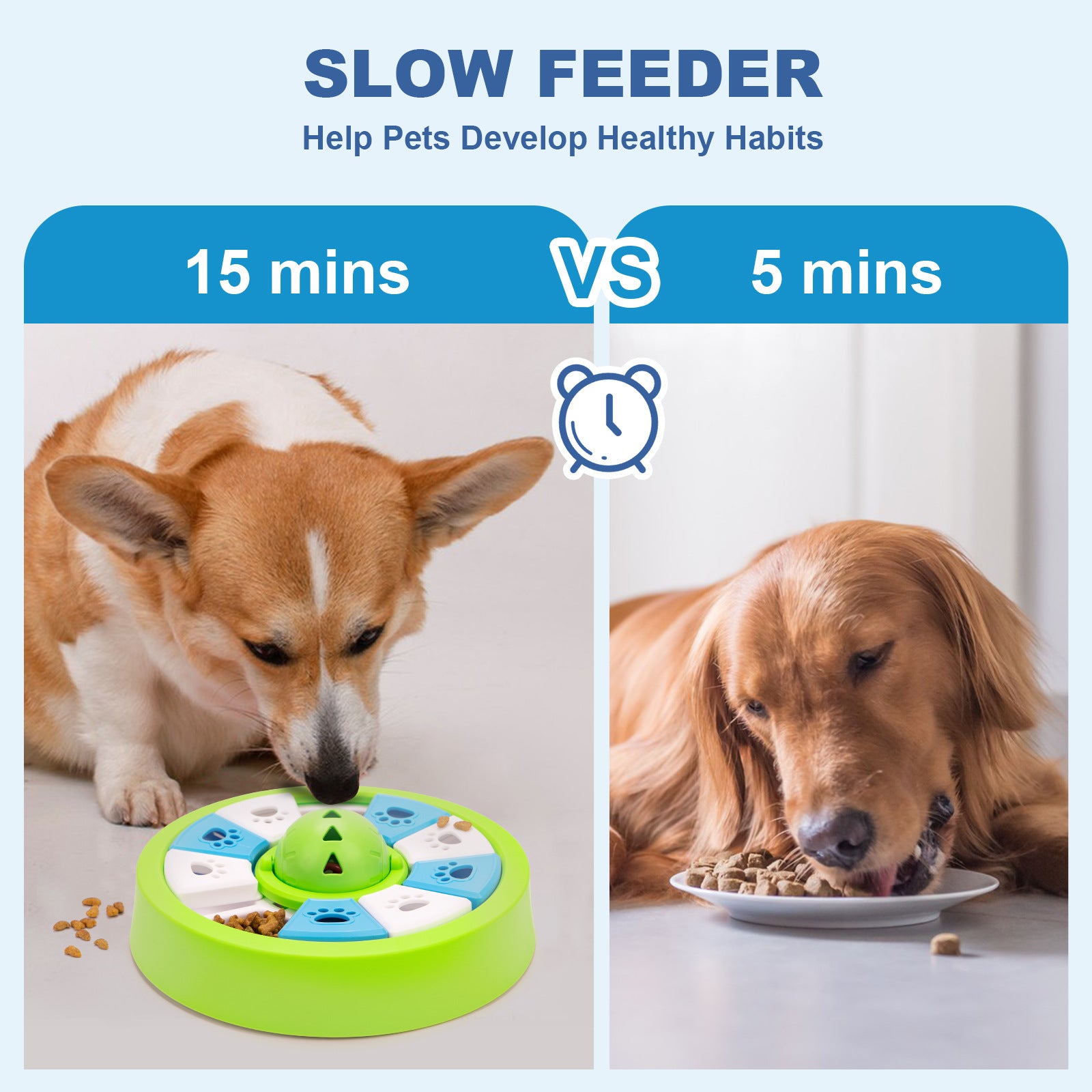 Petlivo Anti-Choking Bowl non-slip base detail for stable mealtime