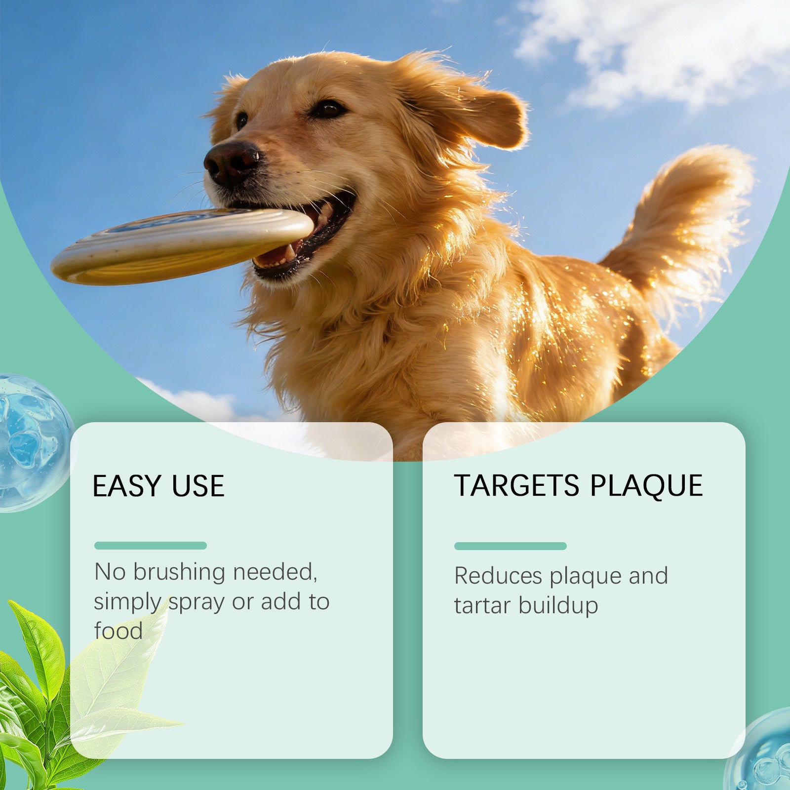 Petlivo Fresh Breath Oral Spray ingredients close-up with pet-safe formula