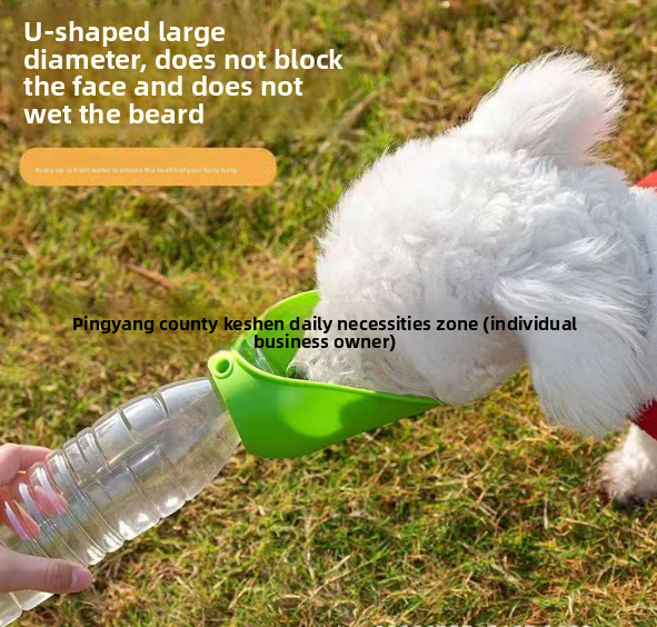 Petlivo Portable Water Bottle in use during dog walk in the park